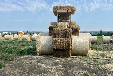 Достижения АПК представлены на «Всероссийском дне поля»